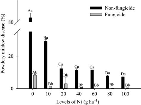 Impact Of Foliar Nickel Application On Urease Activity Antioxidant