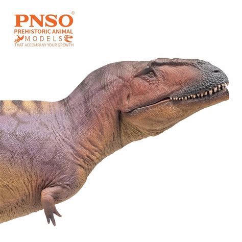 upcoming release  pnso   pt dinosaur toy blog