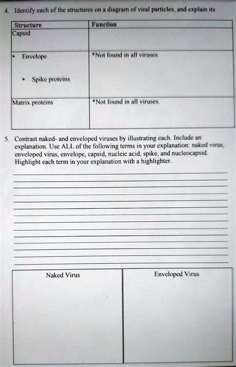 Identify Each Of The Structures On Diagram Of Viral P SolvedLib