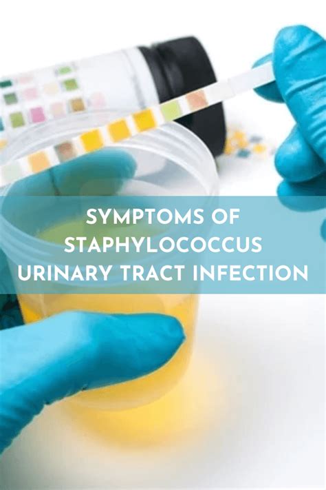 Symptoms of Staphylococcus aureus Urinary Tract Infections