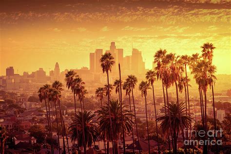 Beautiful sunset of Los Angeles downtown skyline and palm trees ...