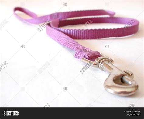 Purple Dog Leash Image & Photo (Free Trial) | Bigstock