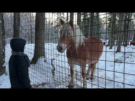 Oasi Delle Piane Di Mocogno Frazione Di Lama Mocogno MO Emilia