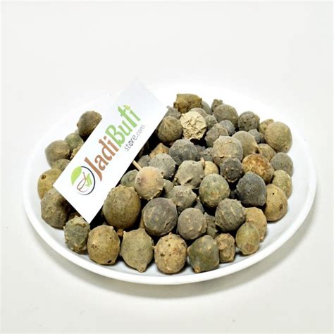 Majuphal मजफल Gallnut Quercus infectoria Buy Raw Natural