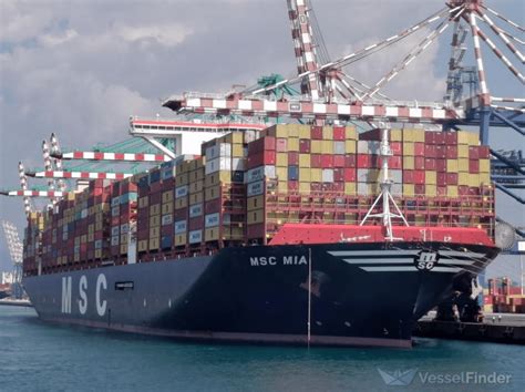 MSC Announces East West Service Network Adjustments Container News