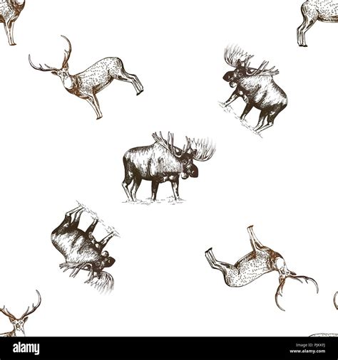 Seamless Pattern Of Hand Drawn Sketch Style Moose And Deer Isolated On