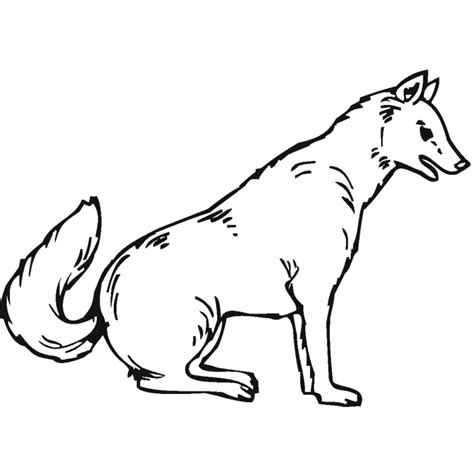 Desenho De Lobo Sentado Para Colorir Tudodesenhos