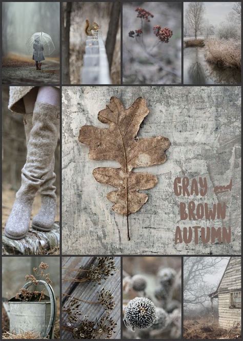 Autumn Magic Soft Autumn Autumn Cozy Color Collage Picture Collage