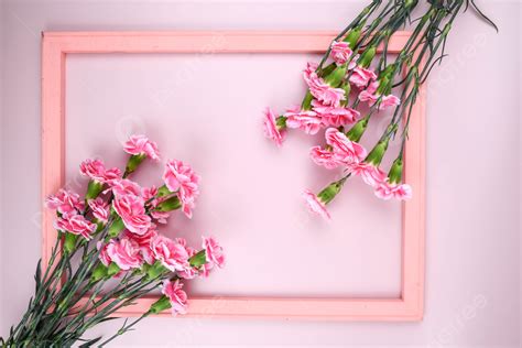 Pink Background Carnation Photography Mothers Day Envelope Carnation