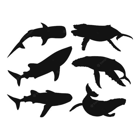 Premium Vector | Hand drawn whale silhouette