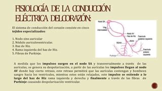 ELECTROCARDIOGRAMA Pptx