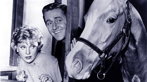 Mister Ed Apple Tv Mx