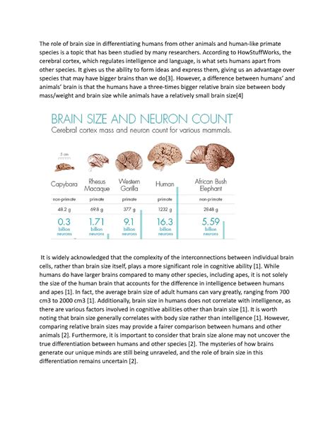 brain size social anthropology studocu