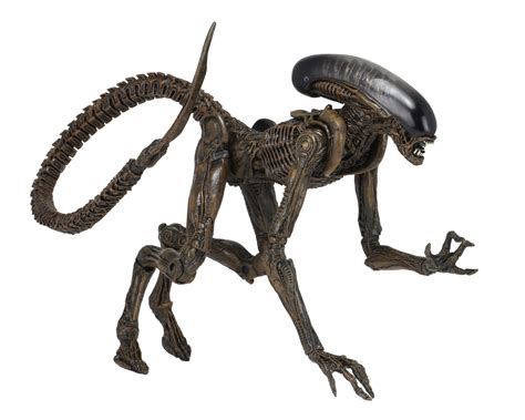 Alien 3 Dog Chestburster