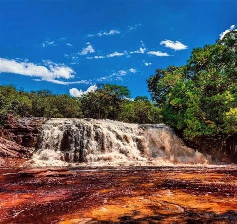 Presidente Figueiredo - Presidente Figueiredo: saiba como aproveitar esse paraíso no Amazonas