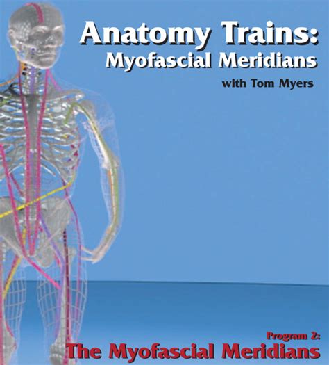 Anatomy Trains Myofascial Meridians Video