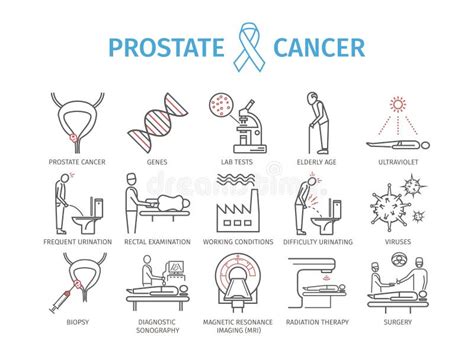 CÁNCER DE PRÓSTATA Síntomas Causas Tratamiento Stock de ilustración