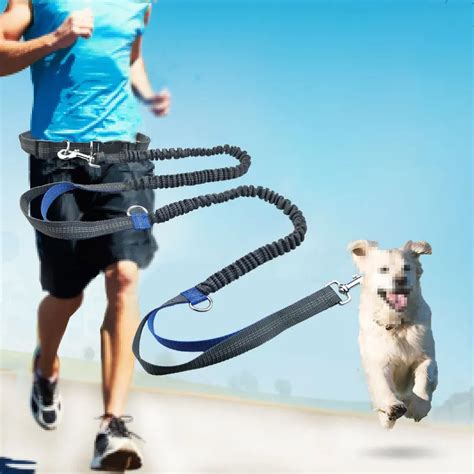 Running Dog Leash Waist Leash Dogs Bungee Lead Dog Dog Leash