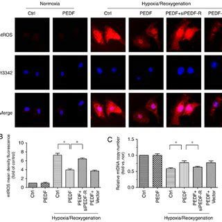 Pedf Reduces Myocardial Infarct Size And Improves Cardiac Function