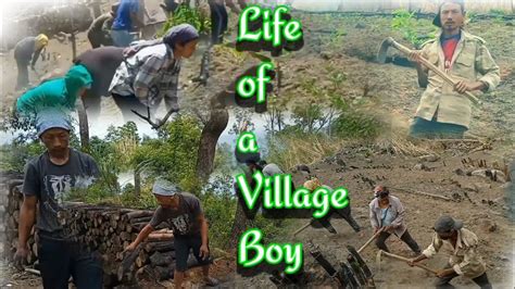 Life Of A Village Boy Jhum Cultivation Tsiepama Village Nagaland