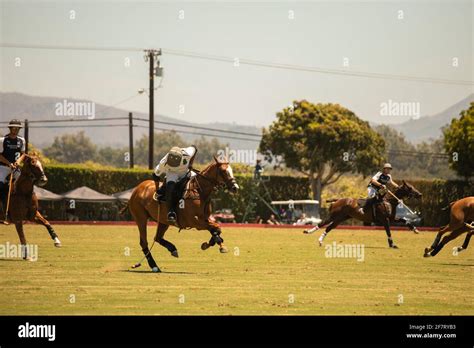 Santa Barbara Polo Club Stock Photo - Alamy