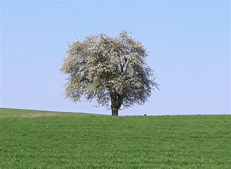 Was hat meine Ernährung mit meinem Heuschnupfen zu tun