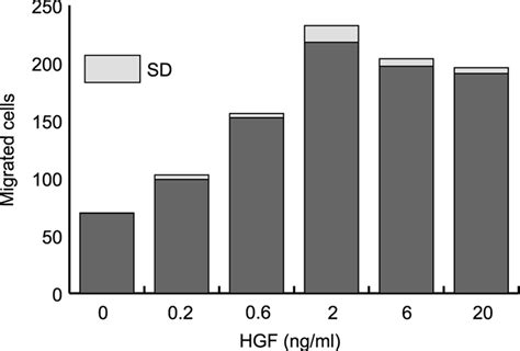 Role Of The Met Hgf Receptor In Proliferation And Invasive Behavior Of