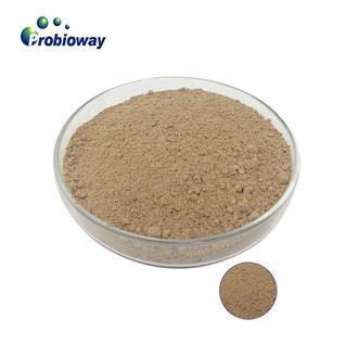 Custom Bacillus Amyloliquefaciens Fed Microbials Manufacturers Factory