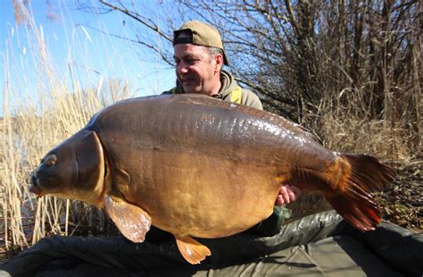 BUG RECORD SMASHED WITH 82LB MONSTER! - DNA Baits
