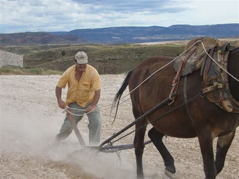 Valdecara Una tarde con la agricultura de hace unos años