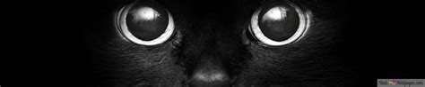 black cat 4K wallpaper download