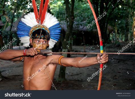 492 Tupi Guarani Tribe Images, Stock Photos & Vectors | Shutterstock