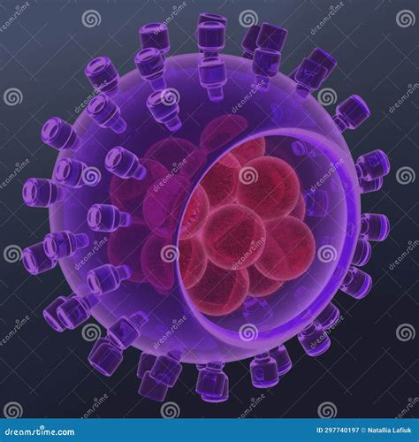 Structure Of Hepatitis A Virus Virion Anatomy Cartoon Vector