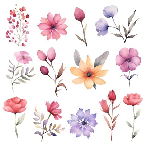 Aquarell Blumen Clipart Set Vektoren Und Illustrationen Zum