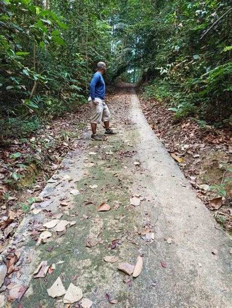 Trek Joging Hutan Rekreasi Sungai Udang Shazylin