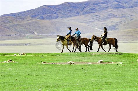 新疆草原骑马旅行高清图片下载 正版图片500789984 摄图网