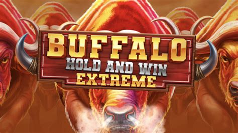 Buffalo Hold And Win Extreme Booming Games Slotbeats