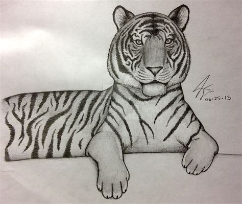 Tiger Pencil Drawing Images At Getdrawings Free Download