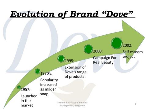 Dove Evolution Of A Brand Harvard Case Study - Study Poster