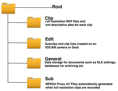 Folder Structure Diagram Excel Excel Folders Organize Micros