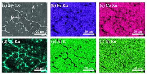 A Sem Bse Image Of Feconi10cual High Entropy Alloys And Sem Energy