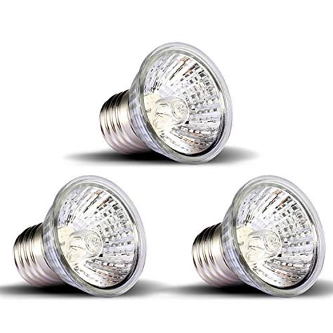 basking light  bearded dragons