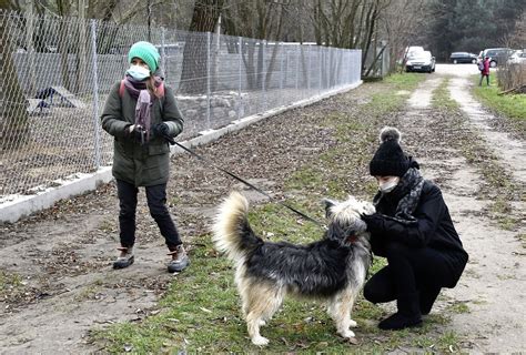 Otwarcie wybiegu dla psów przy Schronisku Azyl w Białej Podlaskiej