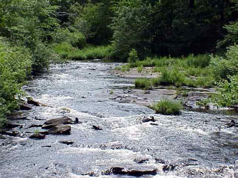 Envirsci Inquiry Lehigh River Watershed Explorations