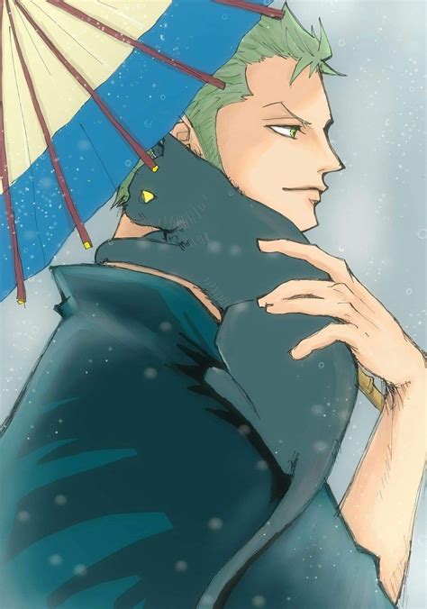 Black cat one piece | Zoro and wicca, Zoro as a cat, Zoro 3