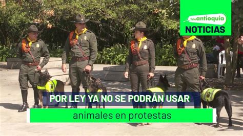 Por ley ya no se podrán usar animales en protestas Teleantioquia