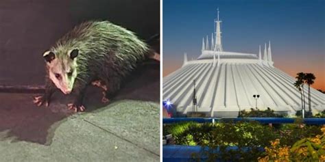 Gay Days Return To Disneyland Resort Inside The Magic