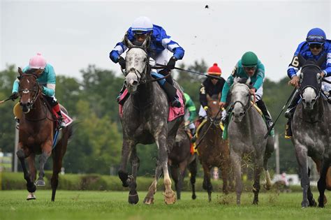 saratoga racing card 3