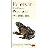 A Field Guide To Reptiles And Amphibians Eastern And Central North