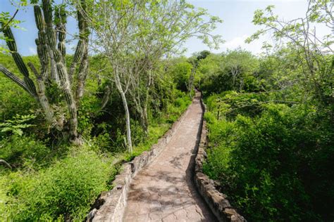 Tortuga Bay Beach In Santa Cruz Galapagos Full Breakdown